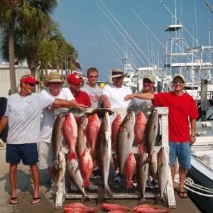 Meet your Posher, Bill